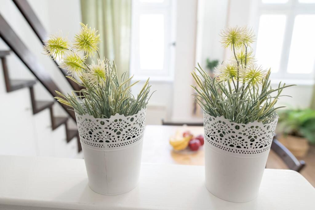 N28 Studio Next To Andrassy Boulevard. 부다페스트 외부 사진